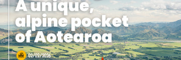 Blog - A unique, alpine pocket of Aotearoa